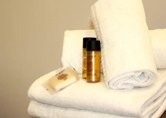 Logis Sea View 3* Saint Gilles Croix de vie