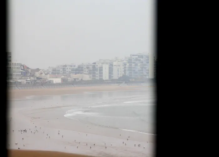 Hotel Logis Sea View 3*