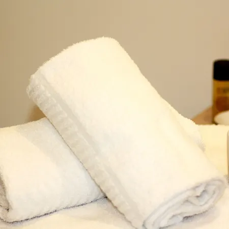 Logis Sea View 3* Saint Gilles Croix de vie